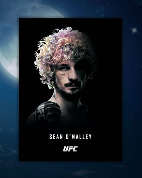 2024 Topps UFC Midnight Cards - Sean O'Malley